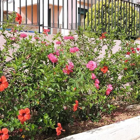 Aristomenis Apartahotel Vlachata