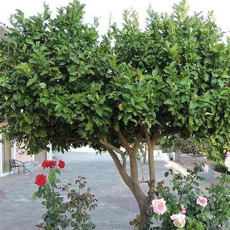 アパートホテル Aristomenis 4*